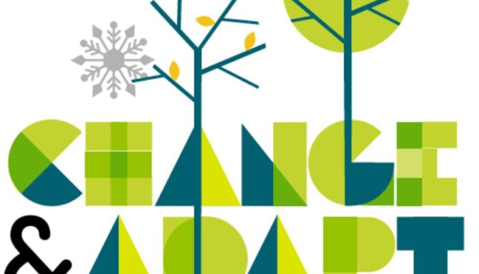 Change and adapt logo
