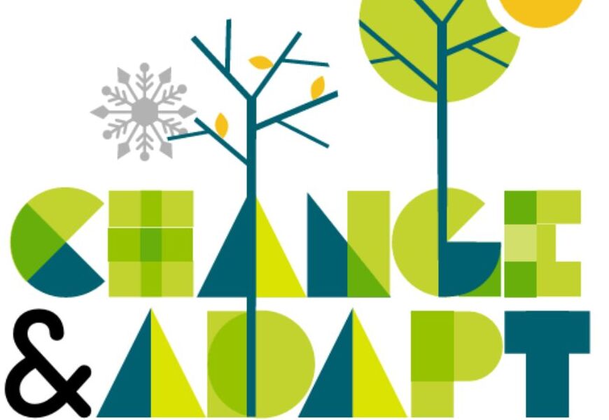 Change and adapt logo